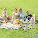 Canasto Térmico Impermeable Plegable Para Playa O Picnic - Imagen 3