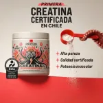 Creatina Monohidratada Unica Certificada Wild Foods - 500g - Imagen 2