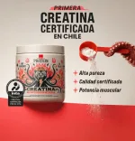 Creatina Monohidratada Unica Certificada Wild Foods - 500g - Imagen 2